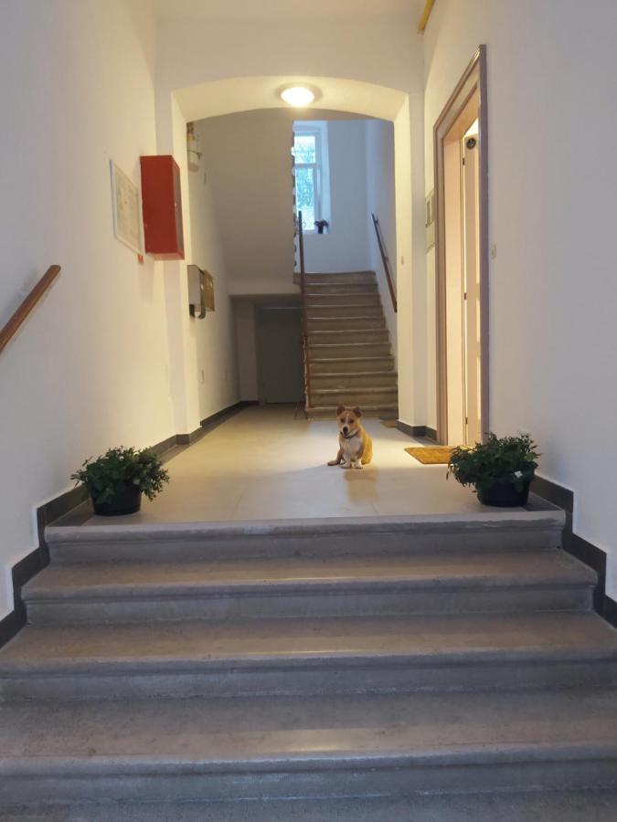Apartman Draguc PUY 외부 사진
